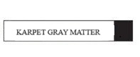 KARPET TILE GRAY MATTER